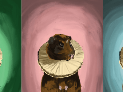 Guinea Pig Elegy in Three&nbsp;Movements