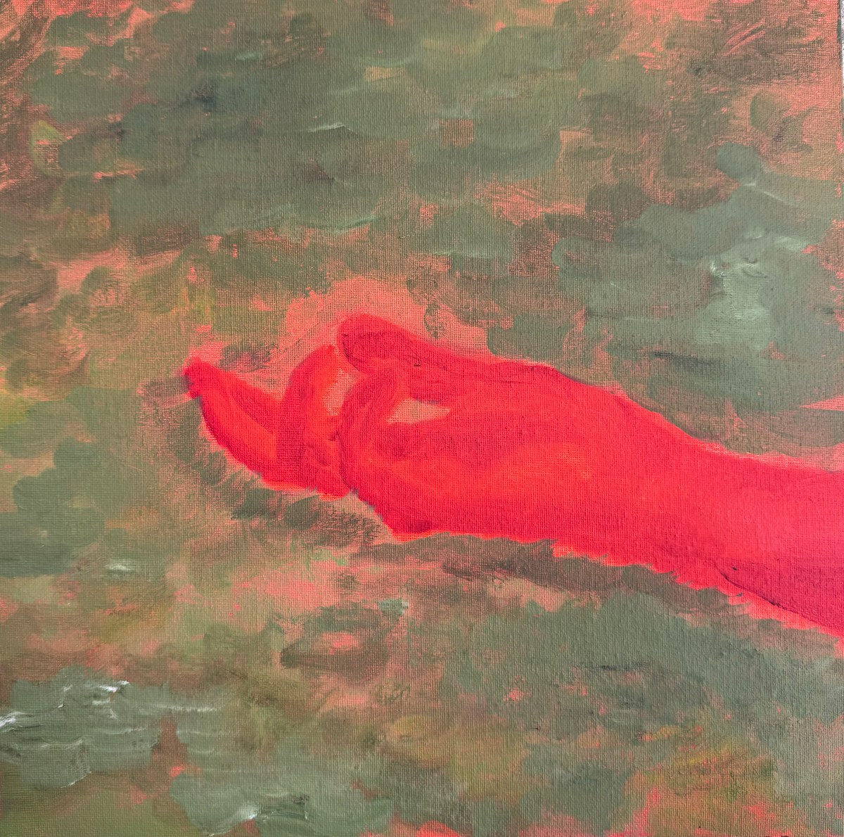 Home in “Lake No&nbsp;Negro”